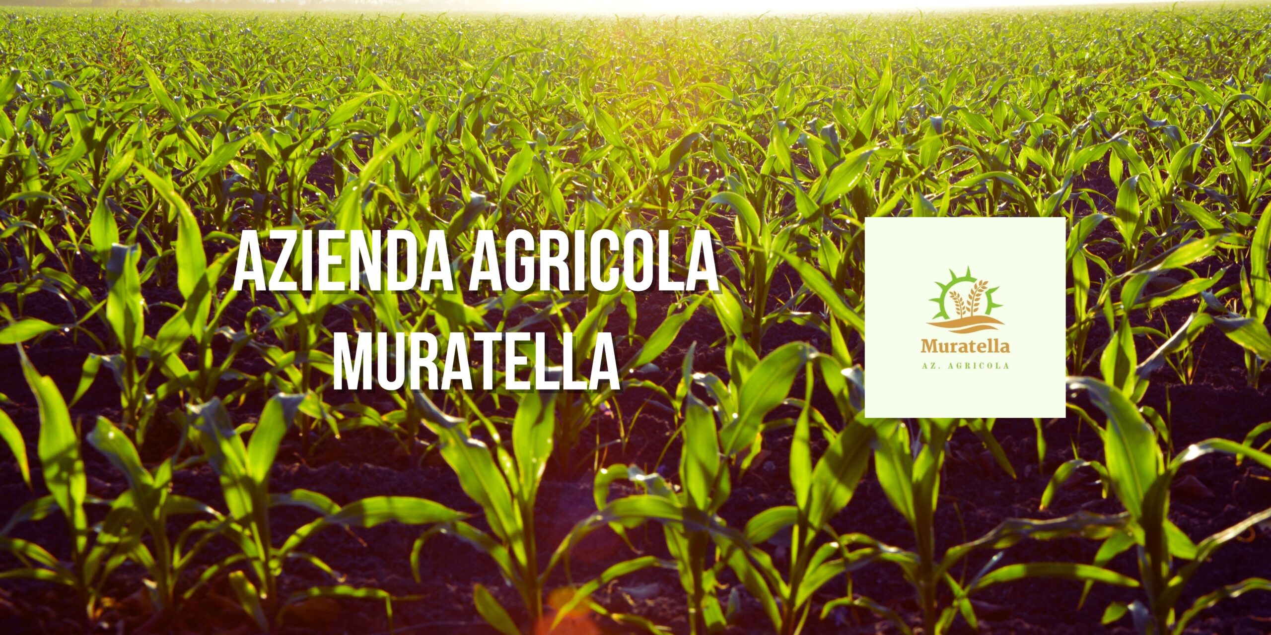 Azienda Agricola Muratella